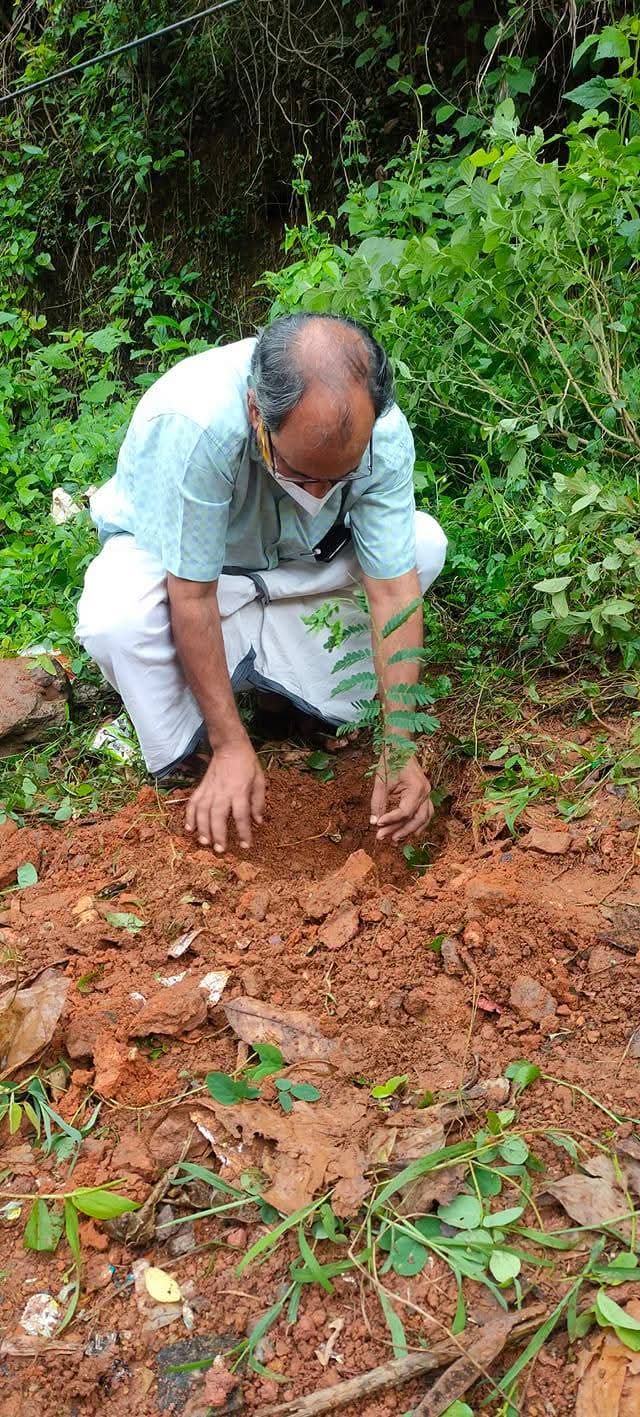 Society President M. C. Unnikrishnan planting a tamarind sapling